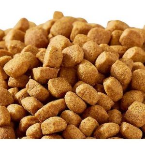 Dog Food